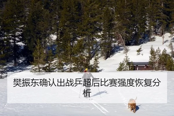 樊振东确认出战乒超后比赛强度恢复分析